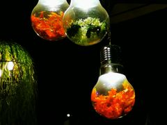 -胡桃里乐队酒馆(鎏嘉码头店)