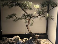 -山塘渡·苏式园林餐厅