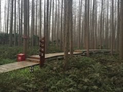 -上海怡沁园度假酒店