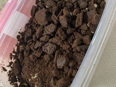 -老婆很芒榴莲千层蛋糕(丽泽桥店)