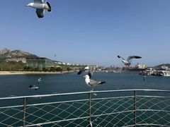 -海驴岛(荣成市)