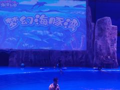 -华夏文旅海洋公园