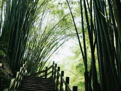 -凤栖山