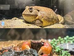 -太平洋海底世界