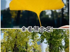 -两江幸福广场