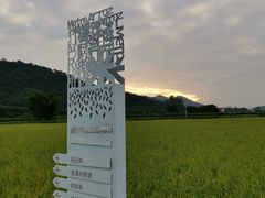 -艾米稻香小镇