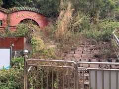 -光明农场大观园