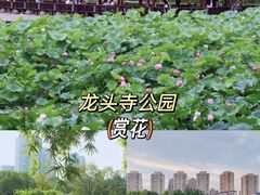 -龙头寺公园