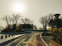 -贡湖湾湿地公园