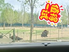 -秦皇岛野生动物园