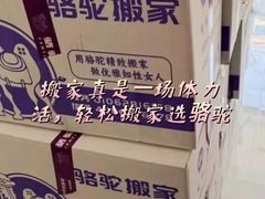 -骆驼日式搬家收纳整理