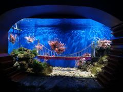 -太平洋海底世界