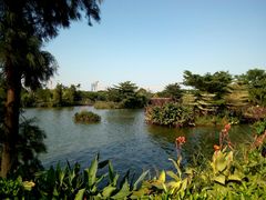 -海珠湖公园