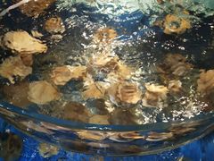 -沿海渔家院蒸汽海鲜·东北菜(东戴河店)