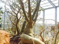 -南通洲际绿博园