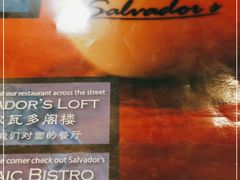 -萨尔瓦多Salvador's