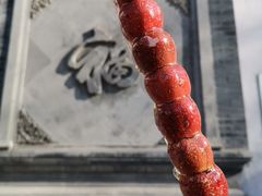 -和禄德冰糖葫芦