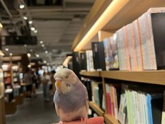 -茑屋书店(天目里店)