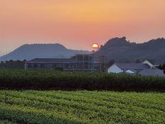 -帐篷客·溪龙茶谷度假酒店