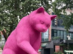 -西安电影制片厂