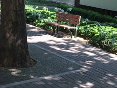 -朝阳公园游乐园