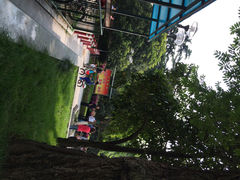iphone_upload_pic-解放公园