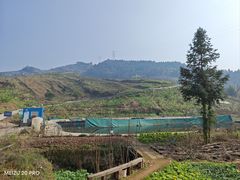 -小八仙·宴(三峡茶庄店)