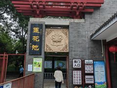 -莲花池公园
