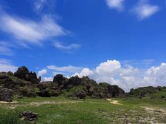 龙坑生态保护区-龙坑生态保护区