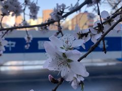 -乌鲁木齐市第二十三中学