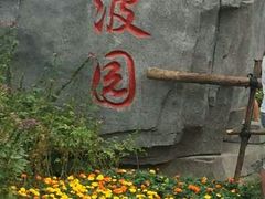 -武清南湖绿博园