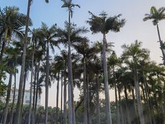 -南宁南湖公园