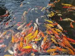 -番禺宾馆丽苑厅