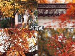 -花开海上生态园