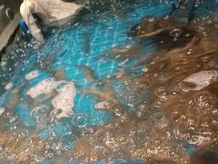 -星伦多自助料理(江阴万达店)