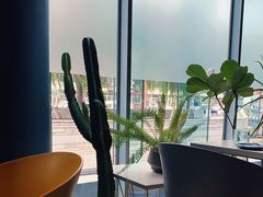 靠窗位-半山腰·云南菜(侨福芳草地店)