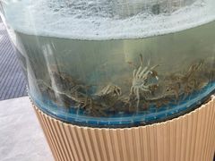 -仙螺岛海鲜自助餐厅(总店)