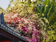 -深圳国际园林花卉博览园