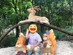 -杭州少年儿童公园