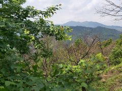 -广州市石门国家森林公园