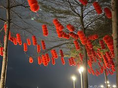 -深圳湾公园(南山区)