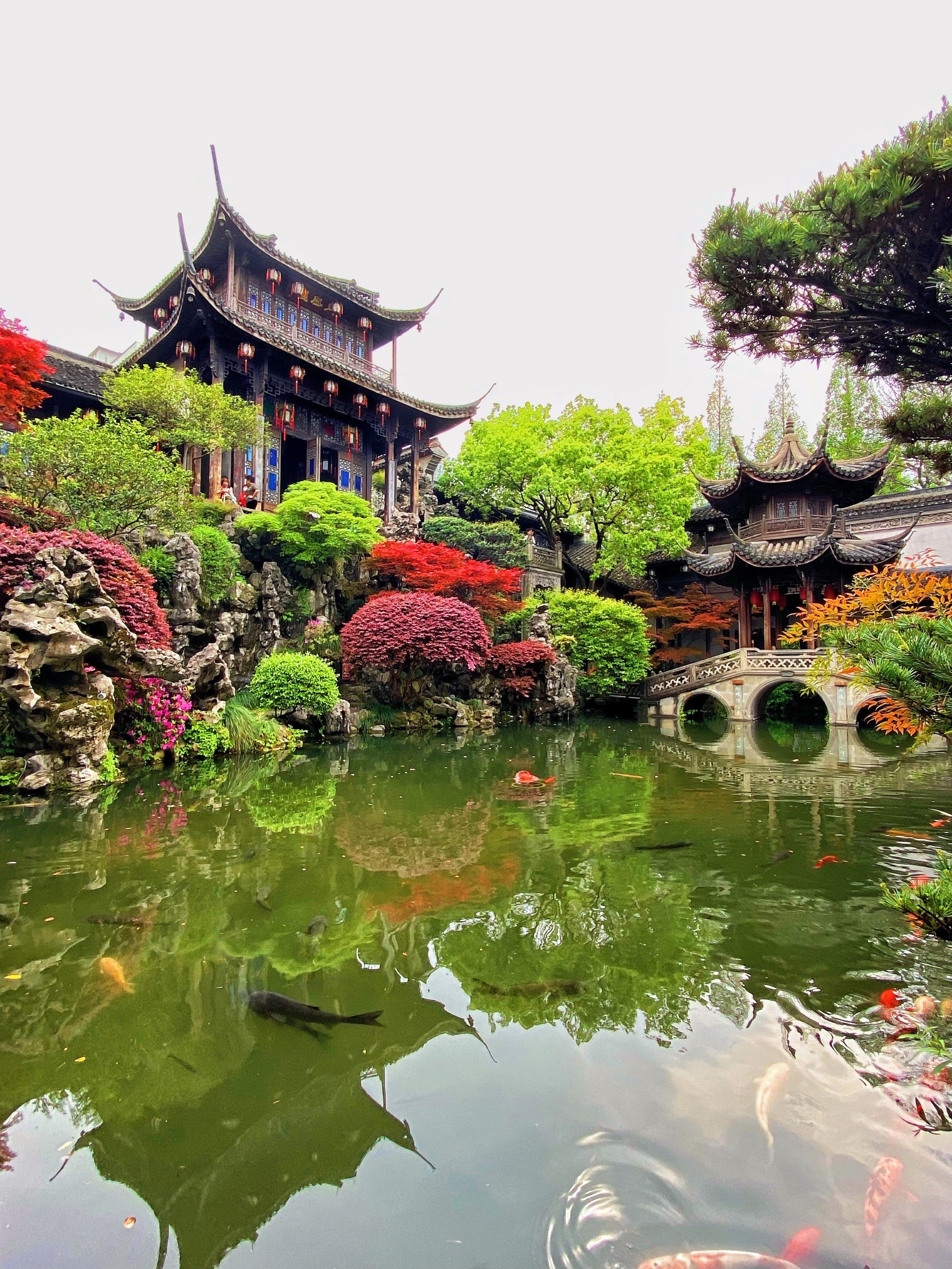 杭州胡雪岩故居 园林 花园 江南园林