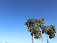 -崇圣寺三塔文化旅游区