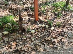 -昆山城市生态森林公园