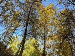 -西安汉城湖景区