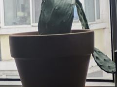 -大玩家(哈尔滨悦荟店)