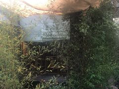 -老房子金沙元年川菜食府·花园餐厅(金沙店)