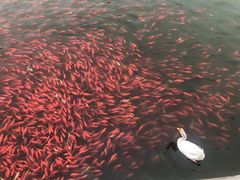 -迎泽公园