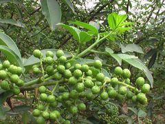 -天津卫码头(南开大悦城店)