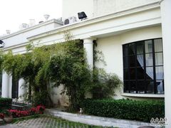 nEO_IMG_DSC04823-老洋房花园饭店(绍兴路店)